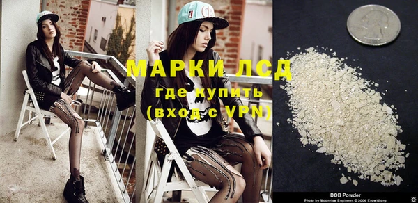 индика Балахна