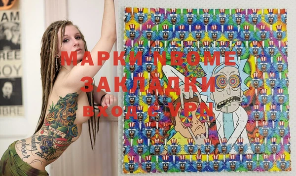индика Балахна