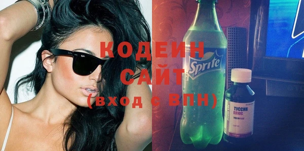 индика Балахна