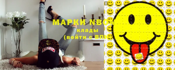 индика Балахна